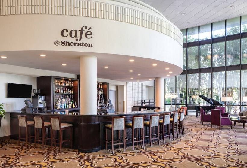 Отель Sheraton Tampa Brandon