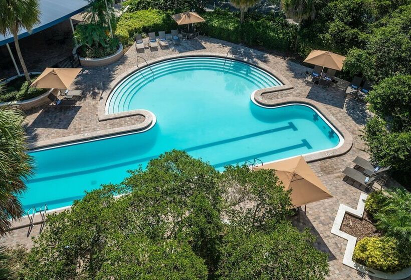 Отель Sheraton Tampa Brandon