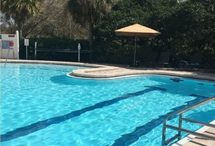 Отель Sheraton Tampa Brandon