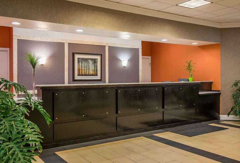 ホテル Super 8 By Wyndham Little Rock/otter Creek