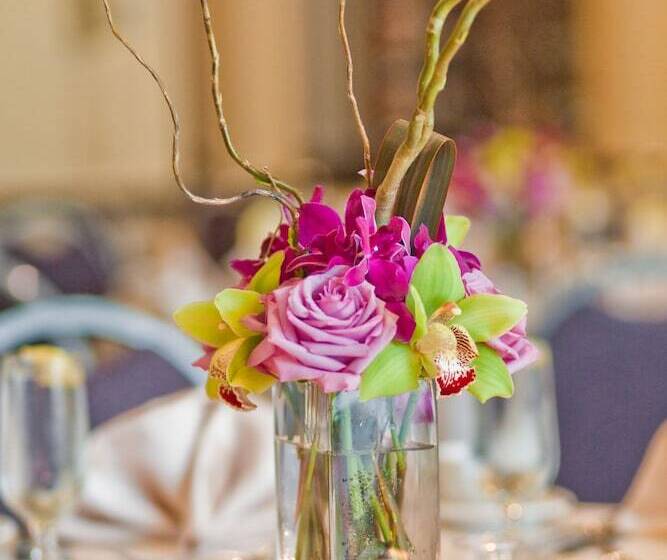 فندق The Inn At Longwood Medical