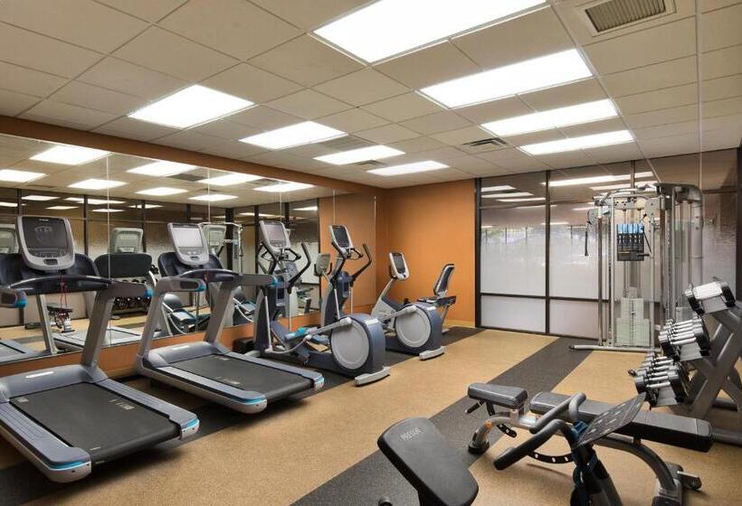 酒店 University Plaza