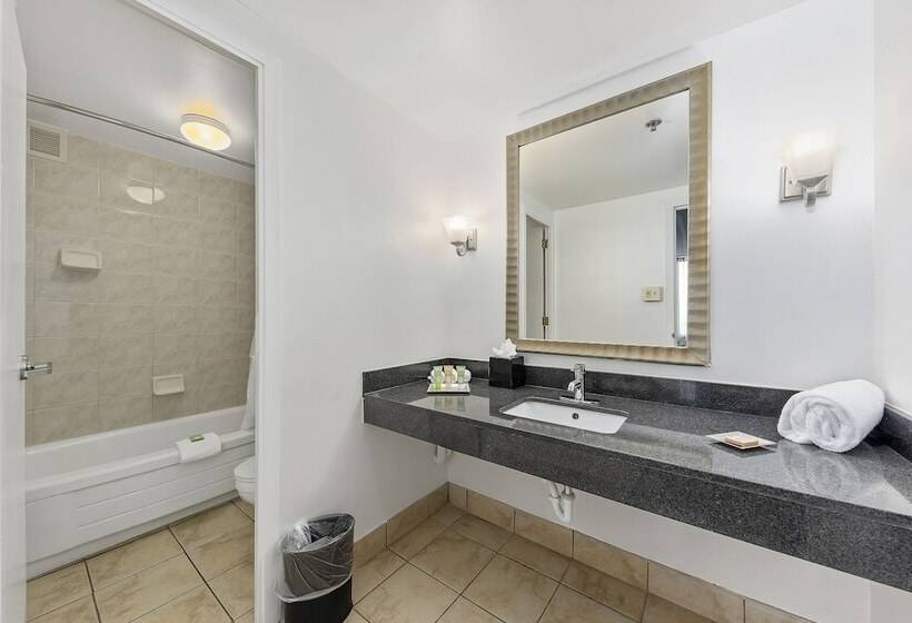 ホテル Wyndham Garden Norfolk Downtown