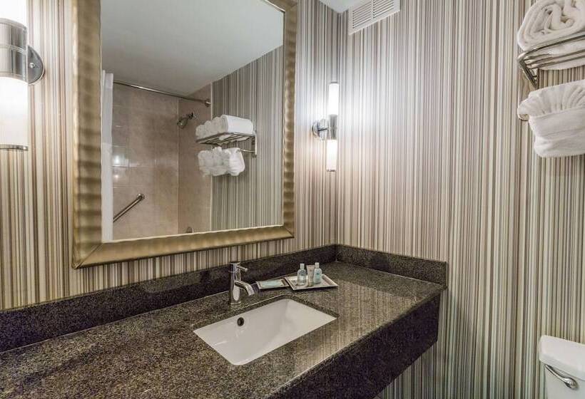 ホテル Wyndham Garden Norfolk Downtown