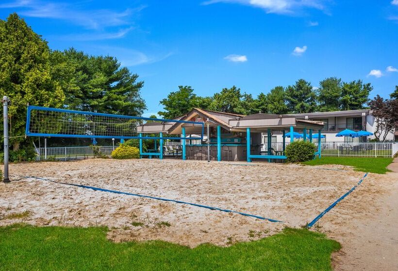 Отель Red Carpet Inn & Suites