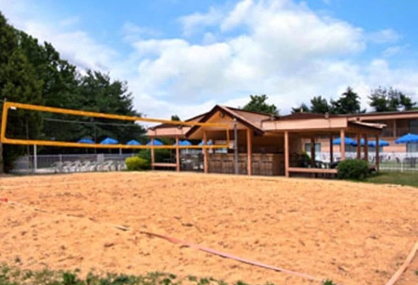 Отель Red Carpet Inn & Suites