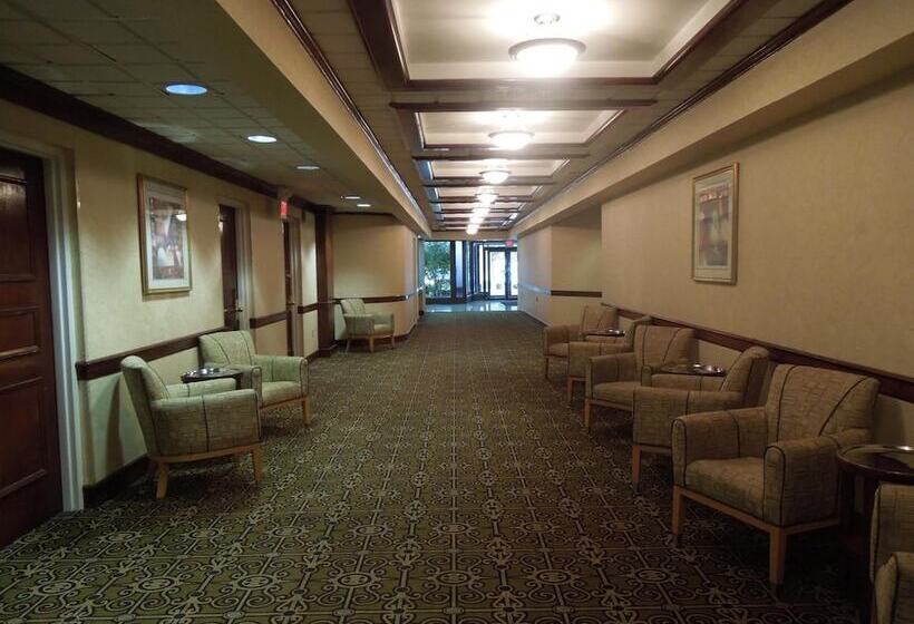 Отель Red Carpet Inn & Suites