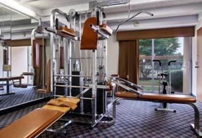 Отель Red Carpet Inn & Suites