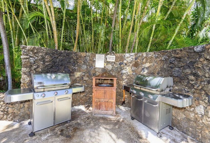 Отель Aina Nalu C204