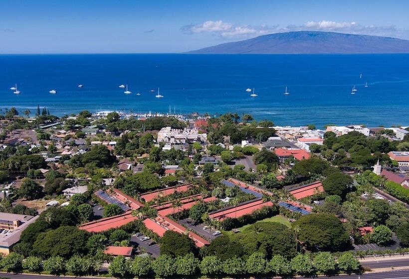 Отель Aina Nalu C204