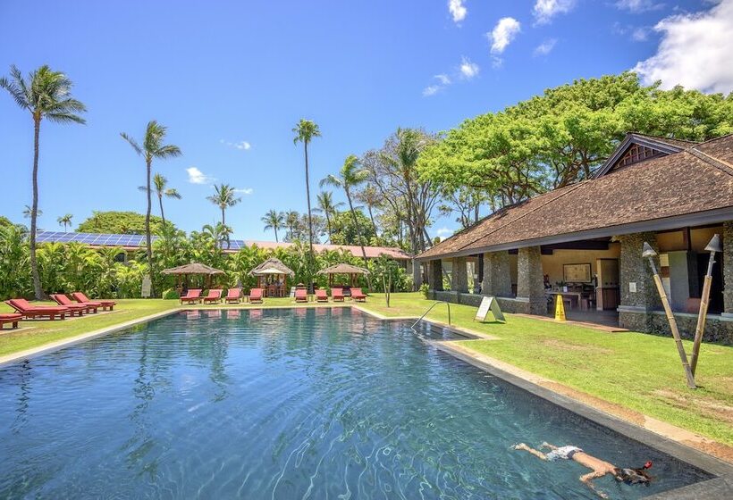 Отель Aina Nalu C204