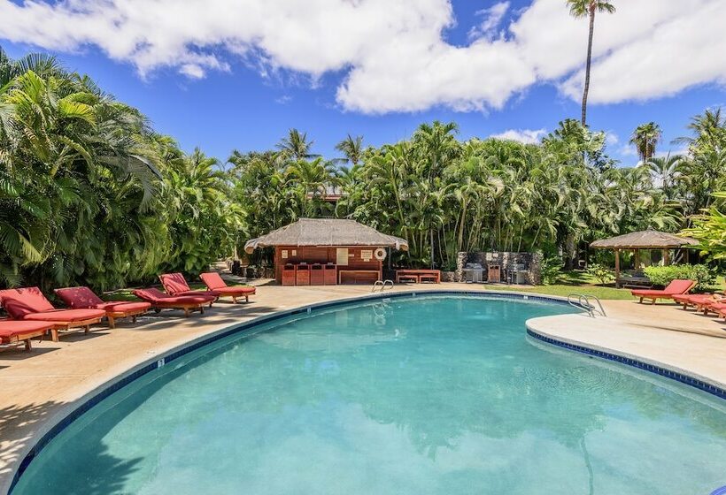 Отель Aina Nalu C204