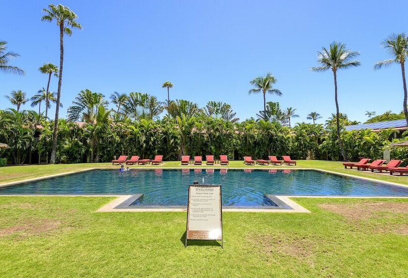 Отель Aina Nalu C204