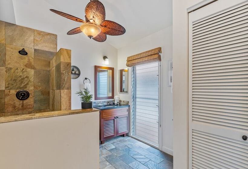 Отель Aina Nalu C204