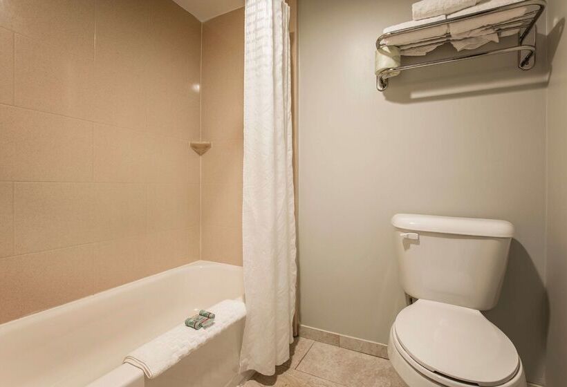 酒店 Best Western Ashbury Inn