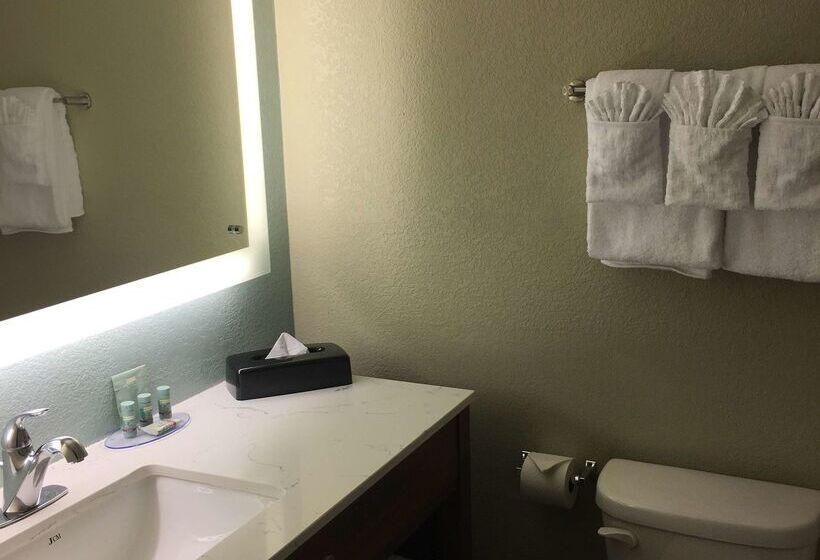 فندق Best Western Carlsbad By The Sea