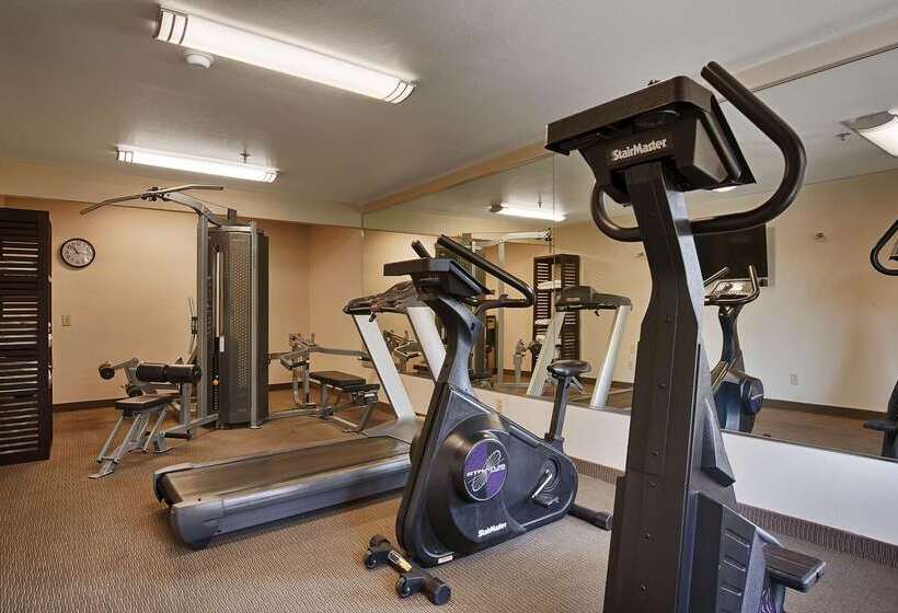 فندق Best Western Palm Court Inn