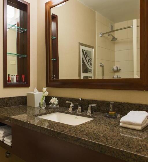 هتل Chicago Marriott Oak Brook