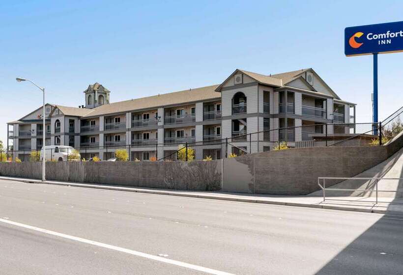 酒店 Comfort Inn