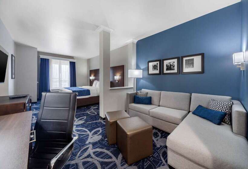 בית מלון כפרי Comfort Inn & Suites Oklahoma City South I 35