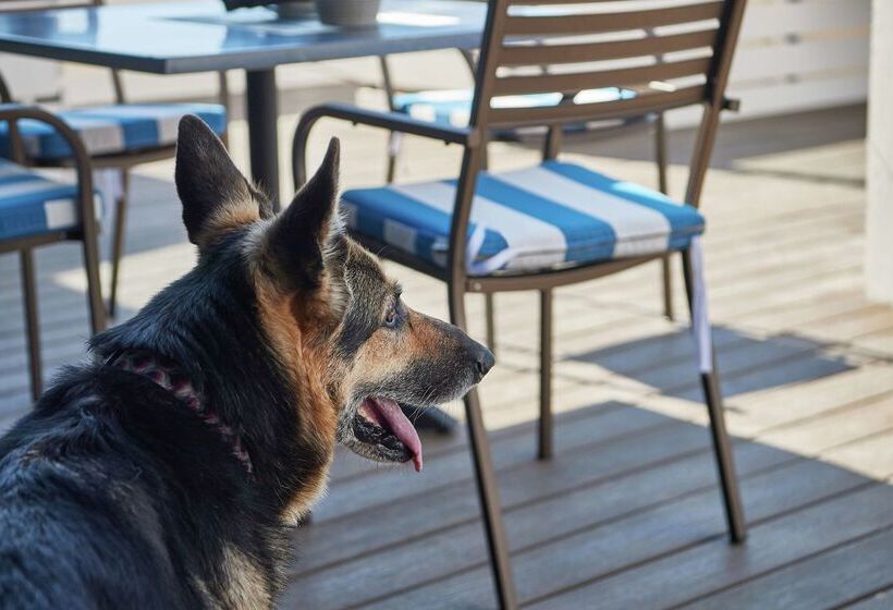 Doubletree By Hilton Hotel Berkeley Marina