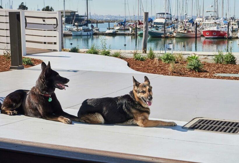 Doubletree By Hilton Hotel Berkeley Marina