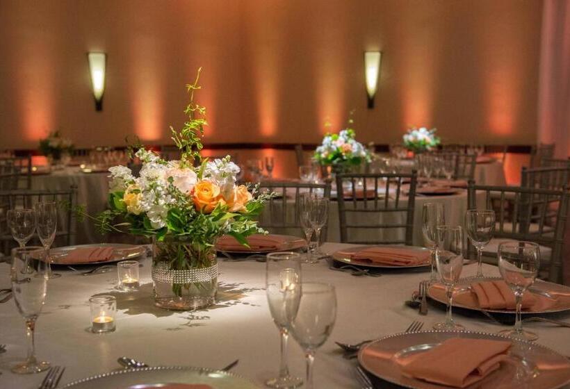 酒店 Fullerton Marriott At California State University