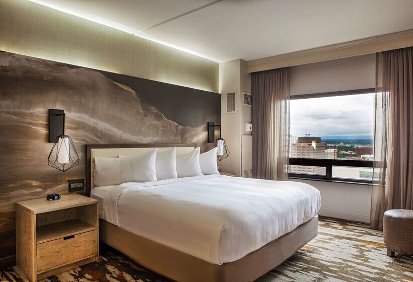 בית מלון כפרי Hilton Denver City Center