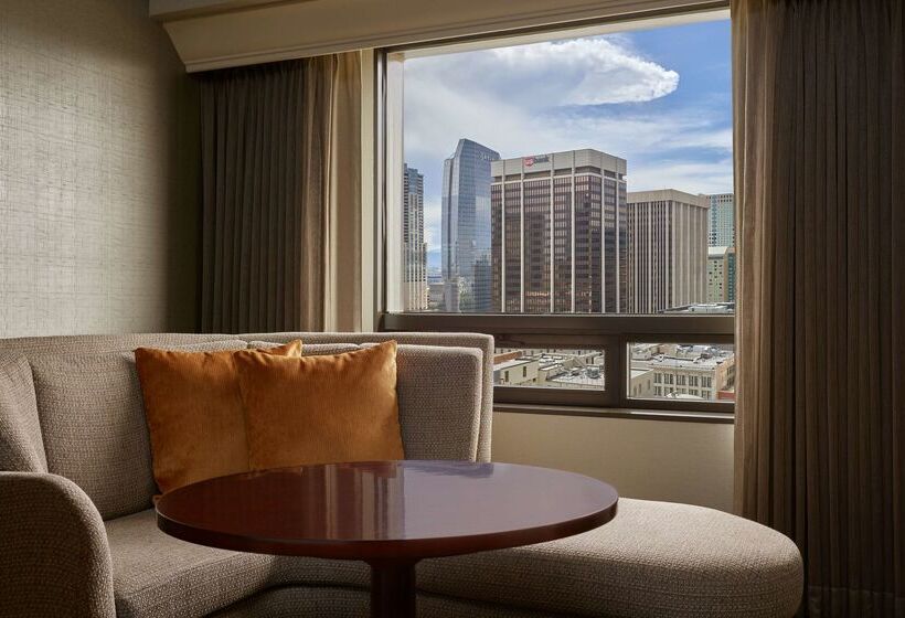 בית מלון כפרי Hilton Denver City Center