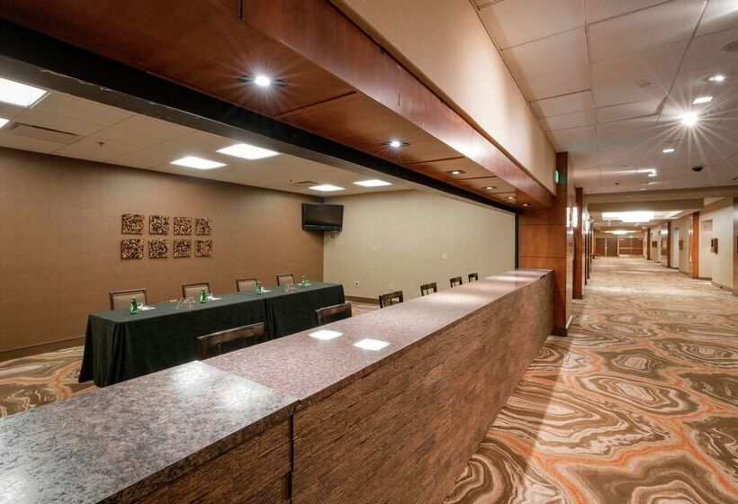 בית מלון כפרי Hilton Denver City Center