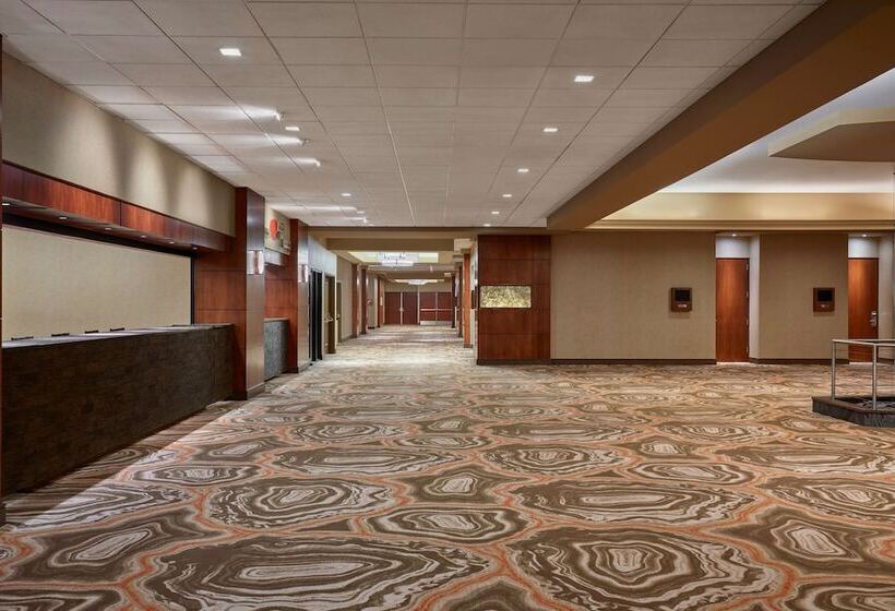 בית מלון כפרי Hilton Denver City Center