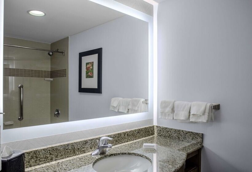 ホテル Hilton Garden Inn Charleston / Mt. Pleasant