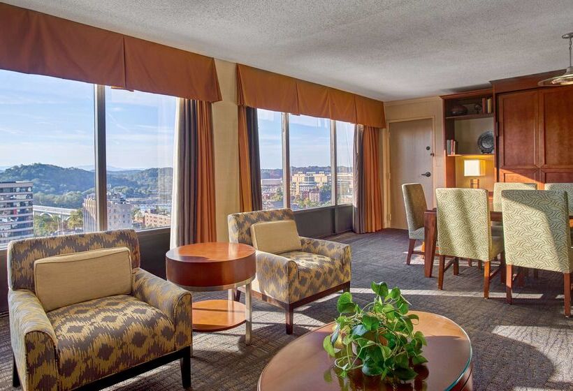 酒店 Hilton Knoxville