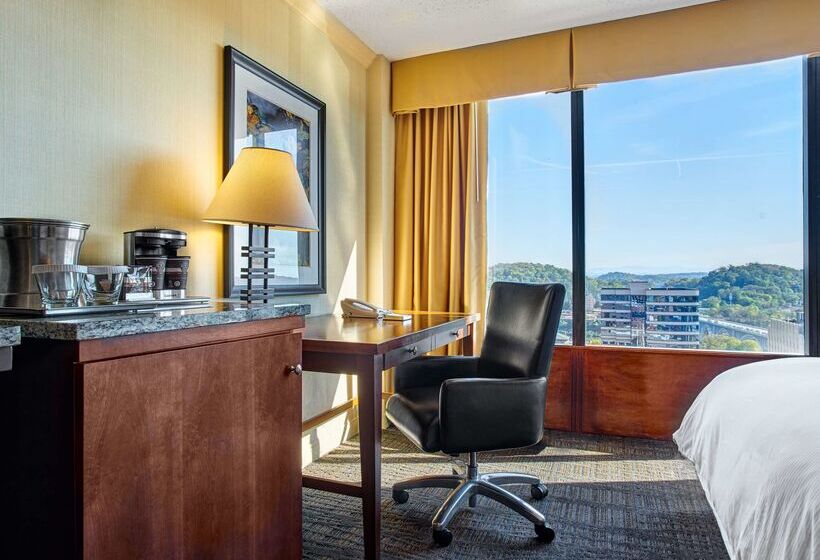 酒店 Hilton Knoxville