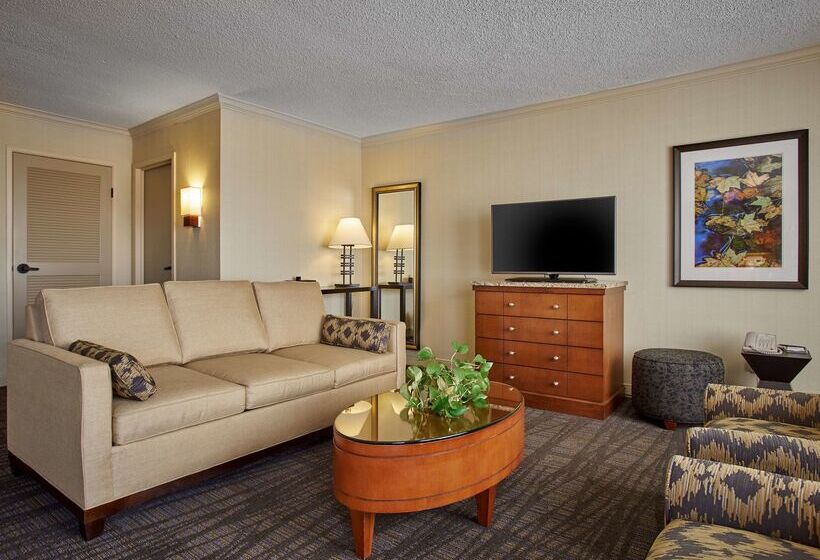 酒店 Hilton Knoxville