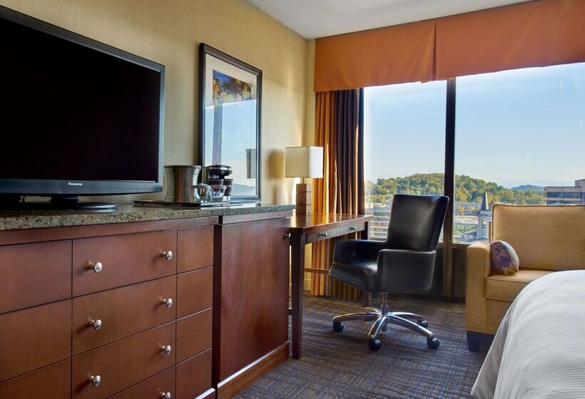 酒店 Hilton Knoxville