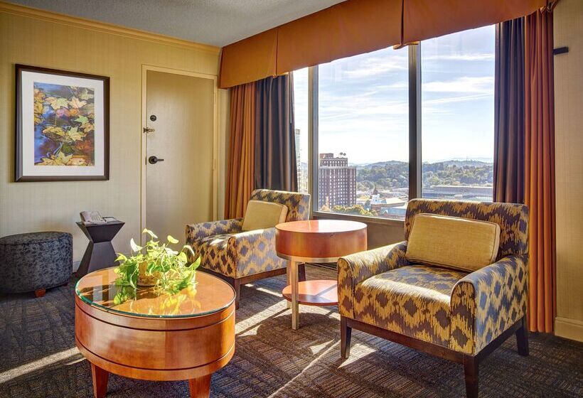 酒店 Hilton Knoxville