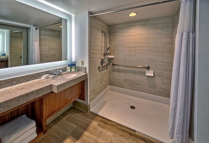 酒店 Hilton Knoxville Airport