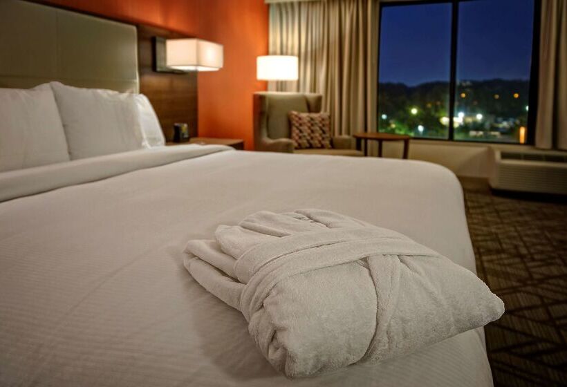 酒店 Hilton Knoxville Airport