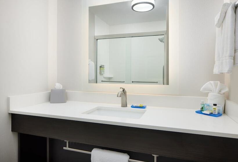 فندق Holiday Inn Express & Suites   Valdosta, An Ihg