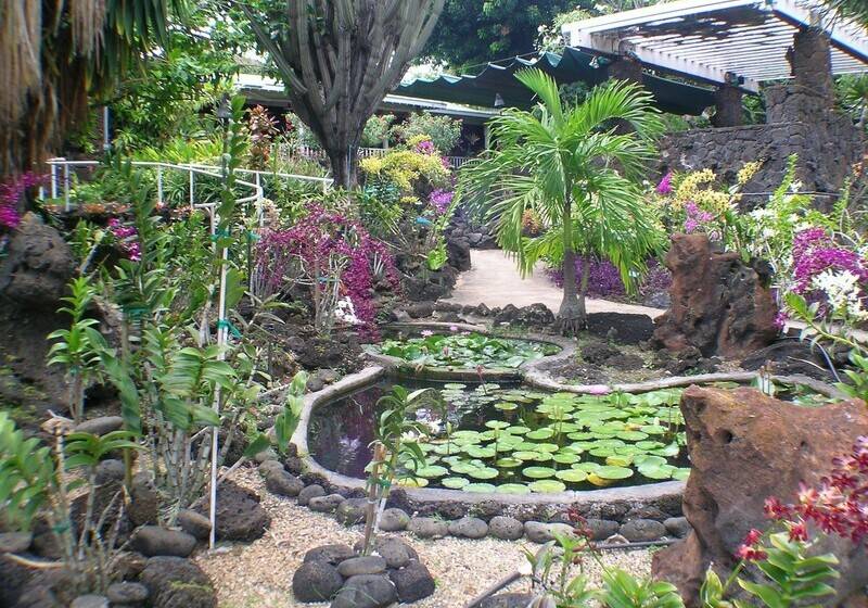 ホテル Kiahuna Plantation And Beach Bungalows By Castle