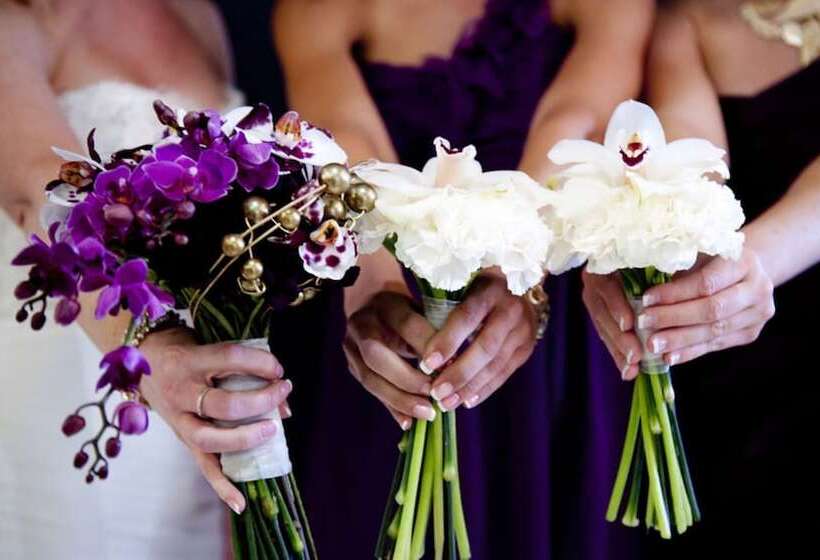 Kimpton Hotel Enso, An Ihg