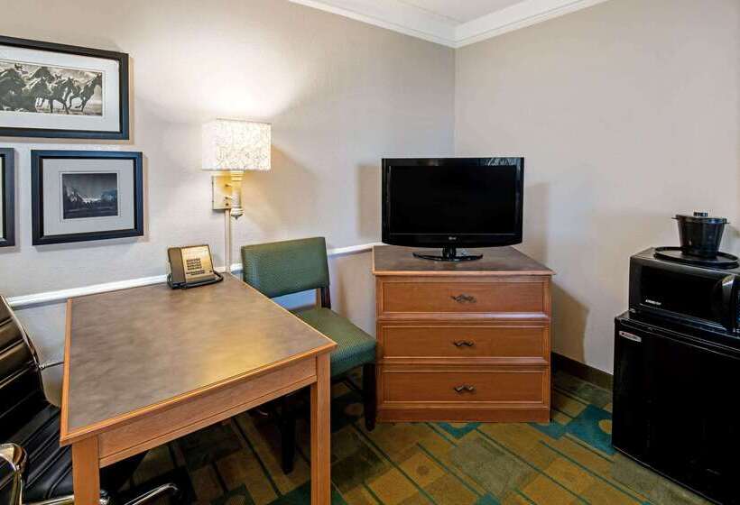 فندق La Quinta Inn By Wyndham Amarillo Midcity