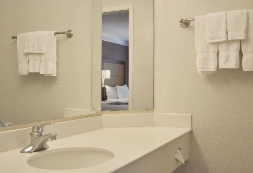 בית מלון כפרי La Quinta Inn By Wyndham Dallas Uptown