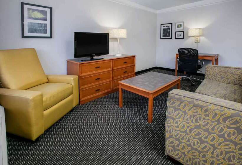هتل La Quinta Inn By Wyndham Dallas Uptown