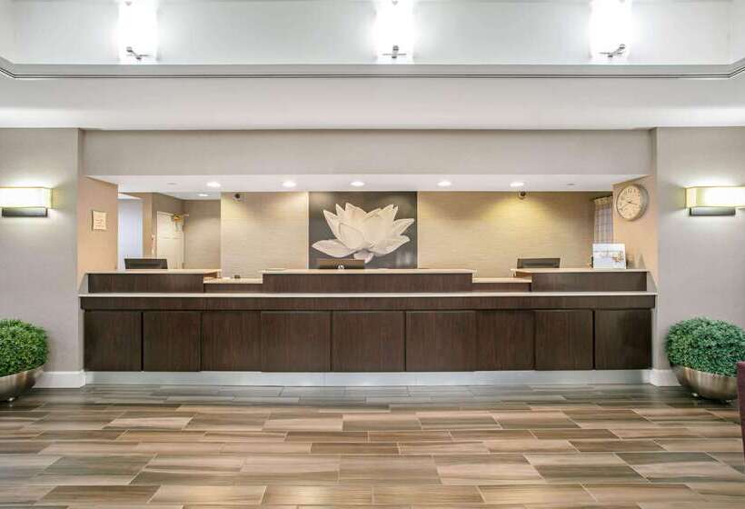 호텔 La Quinta By Wyndham Dfw Airport South / Irving