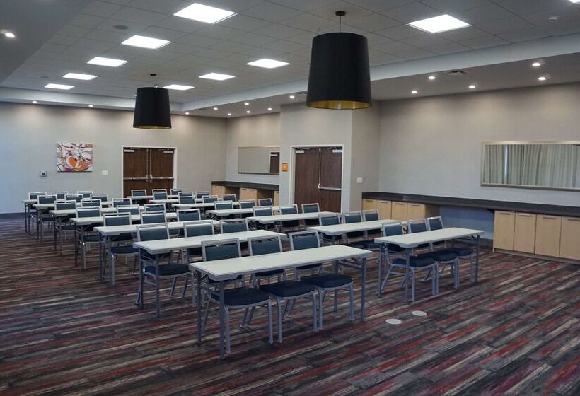 酒店 La Quinta Inn & Suites By Wyndham Lewisville