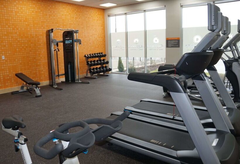 酒店 La Quinta Inn & Suites By Wyndham Lewisville