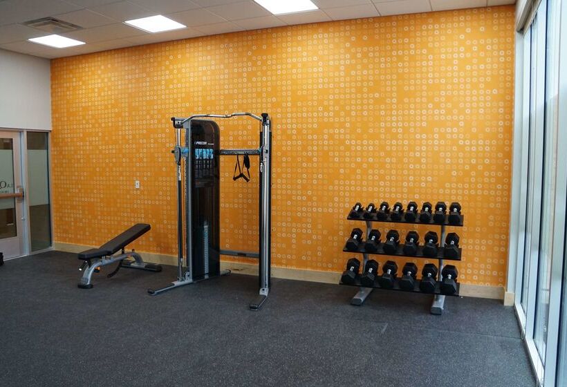 酒店 La Quinta Inn & Suites By Wyndham Lewisville