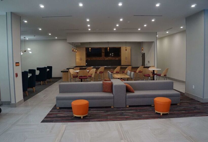 酒店 La Quinta Inn & Suites By Wyndham Lewisville